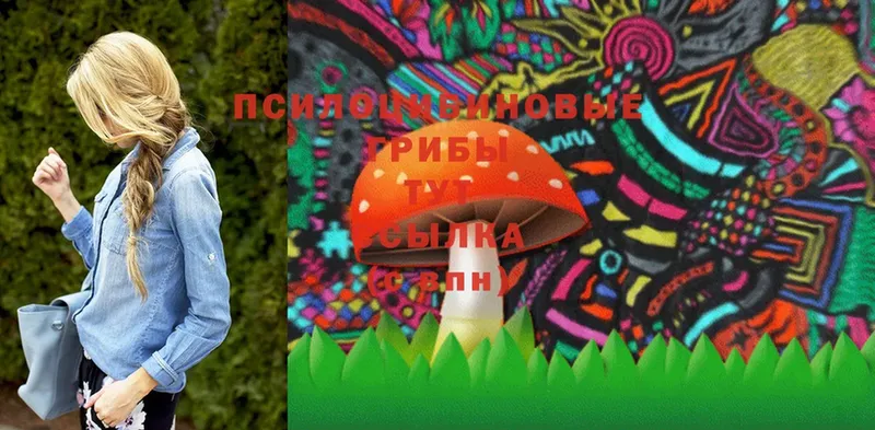 Псилоцибиновые грибы Magic Shrooms  Рыбинск 